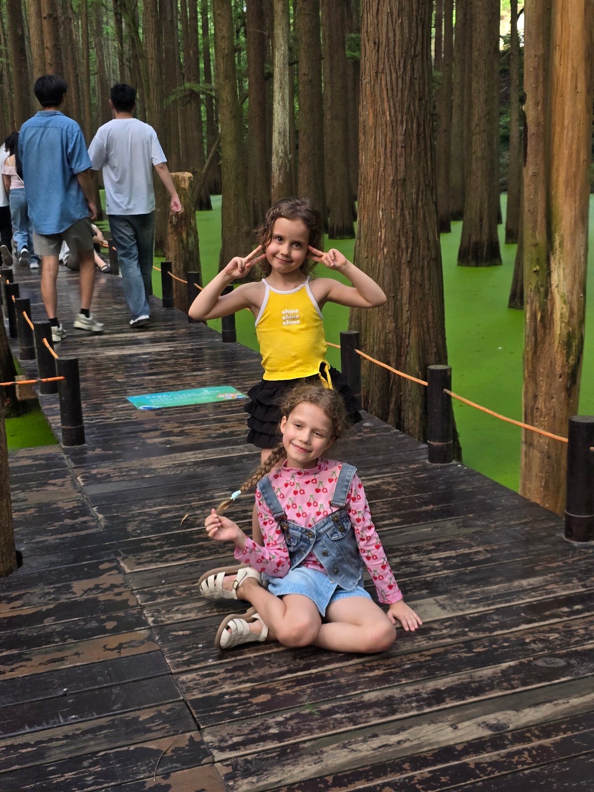 Tourists explore boardwalks through algae-covered swamp forest in China