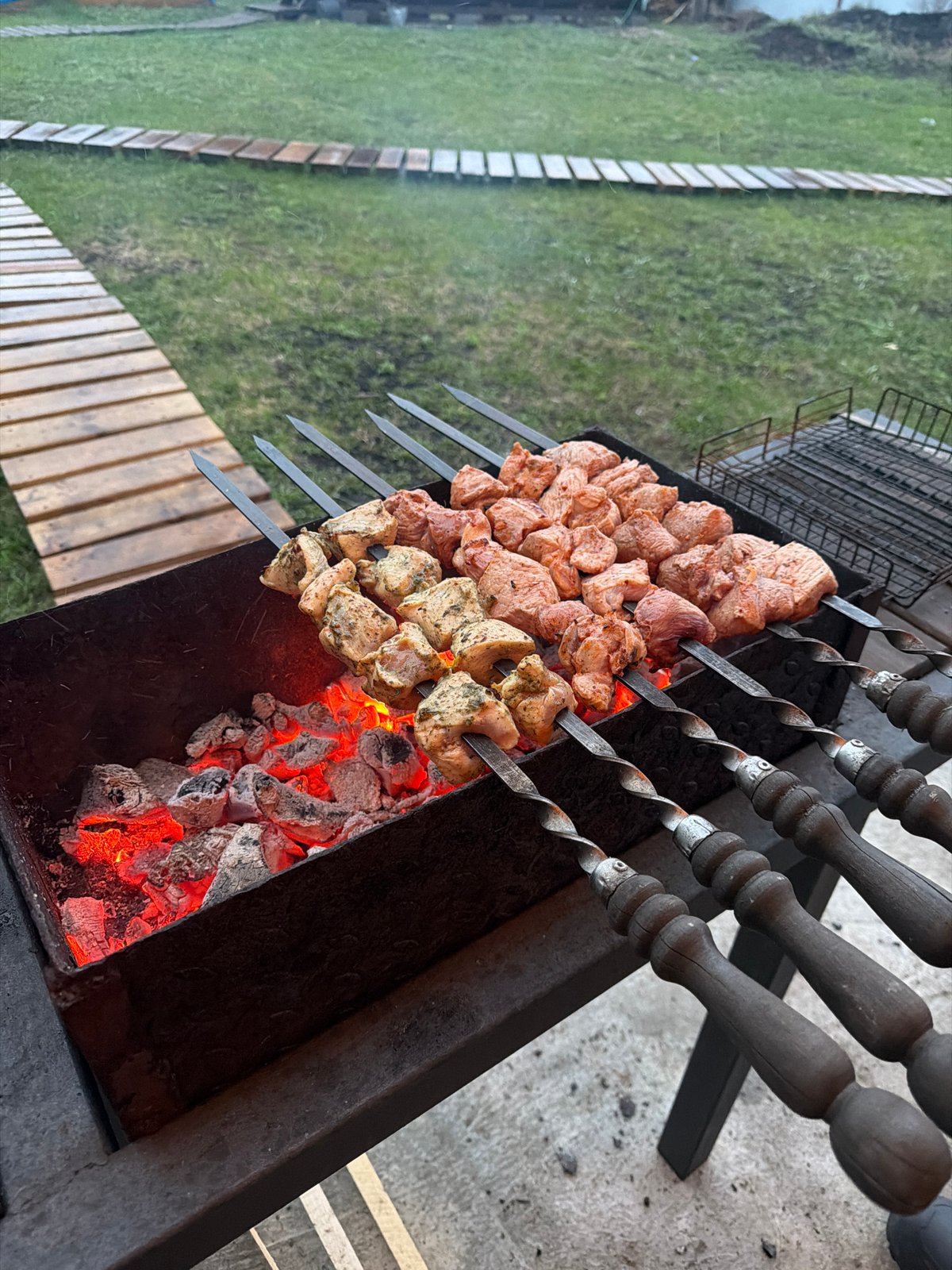 Backyard barbecue gathering with flowers in Большая Шильна, Russia