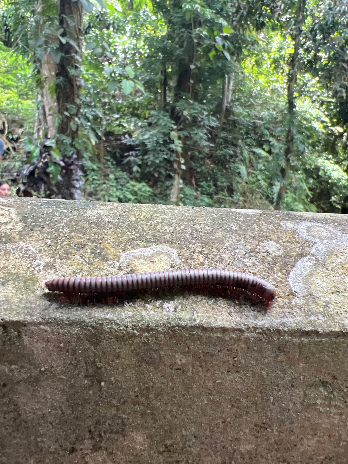 Mother, daughter explore Secret Garden sculptures in Ko Samui jungle