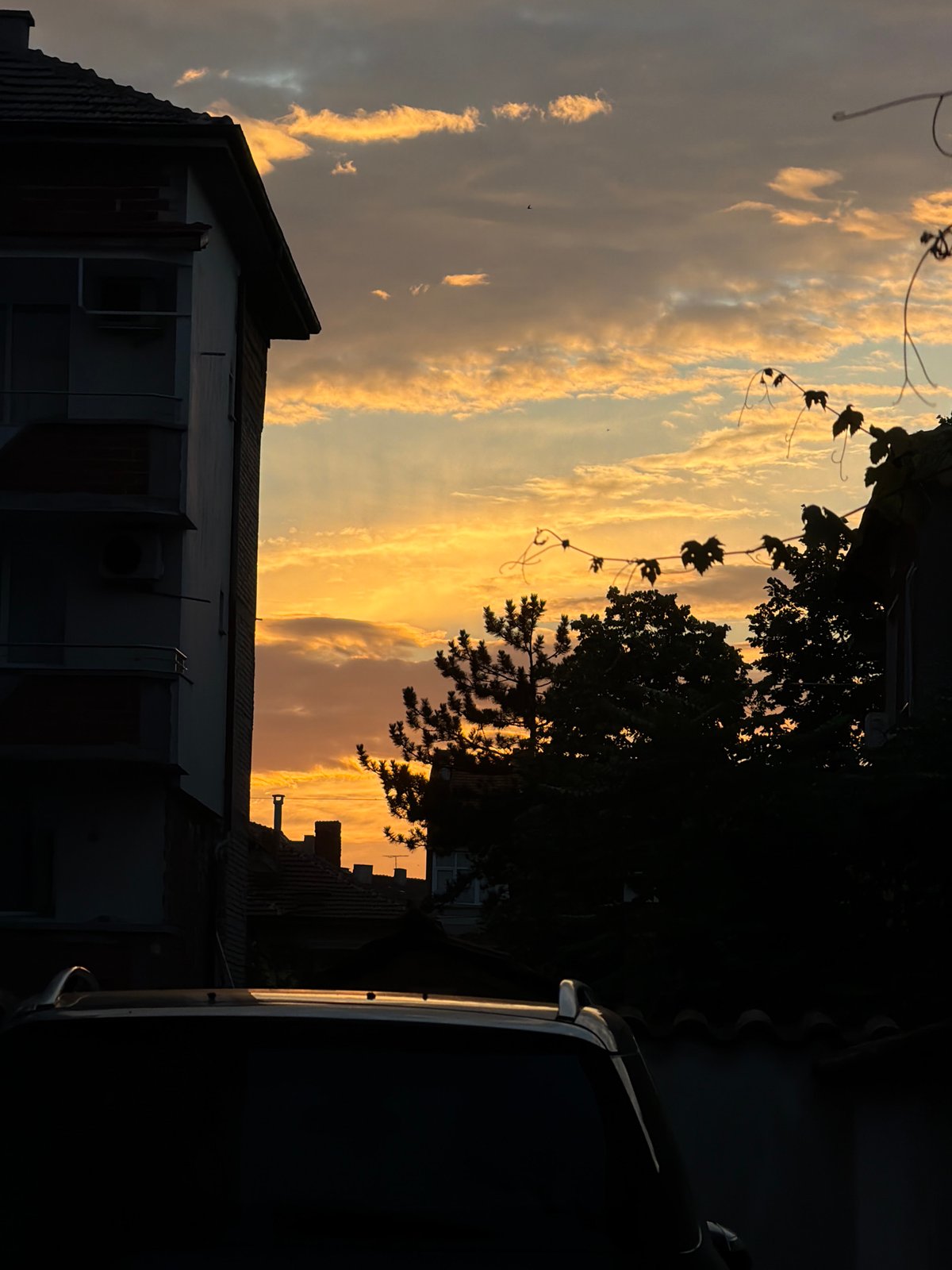 Sunset views and a tricolor flag over a residential area