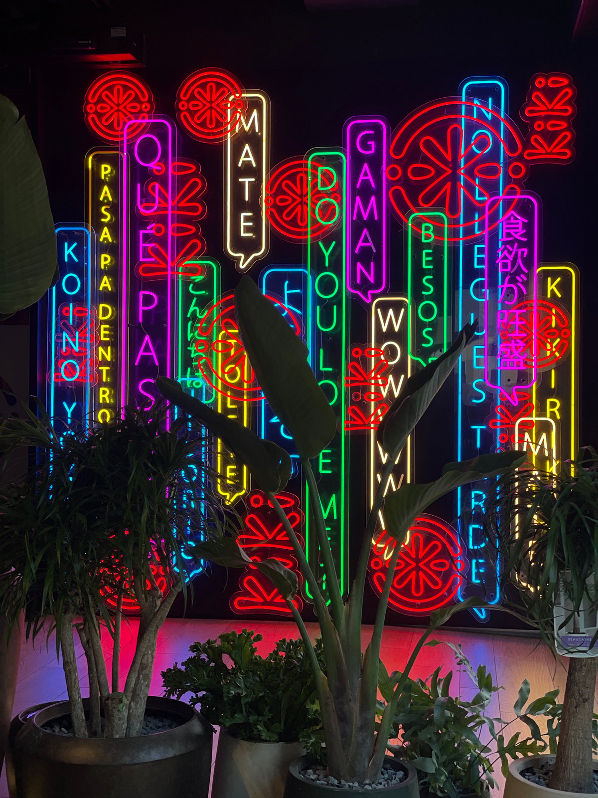 Colorful neon sign display captured at Tenerife venue