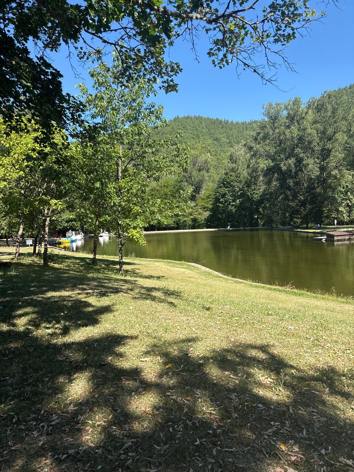 Sunny morning at Bachinovo Park, Blagoevgrad