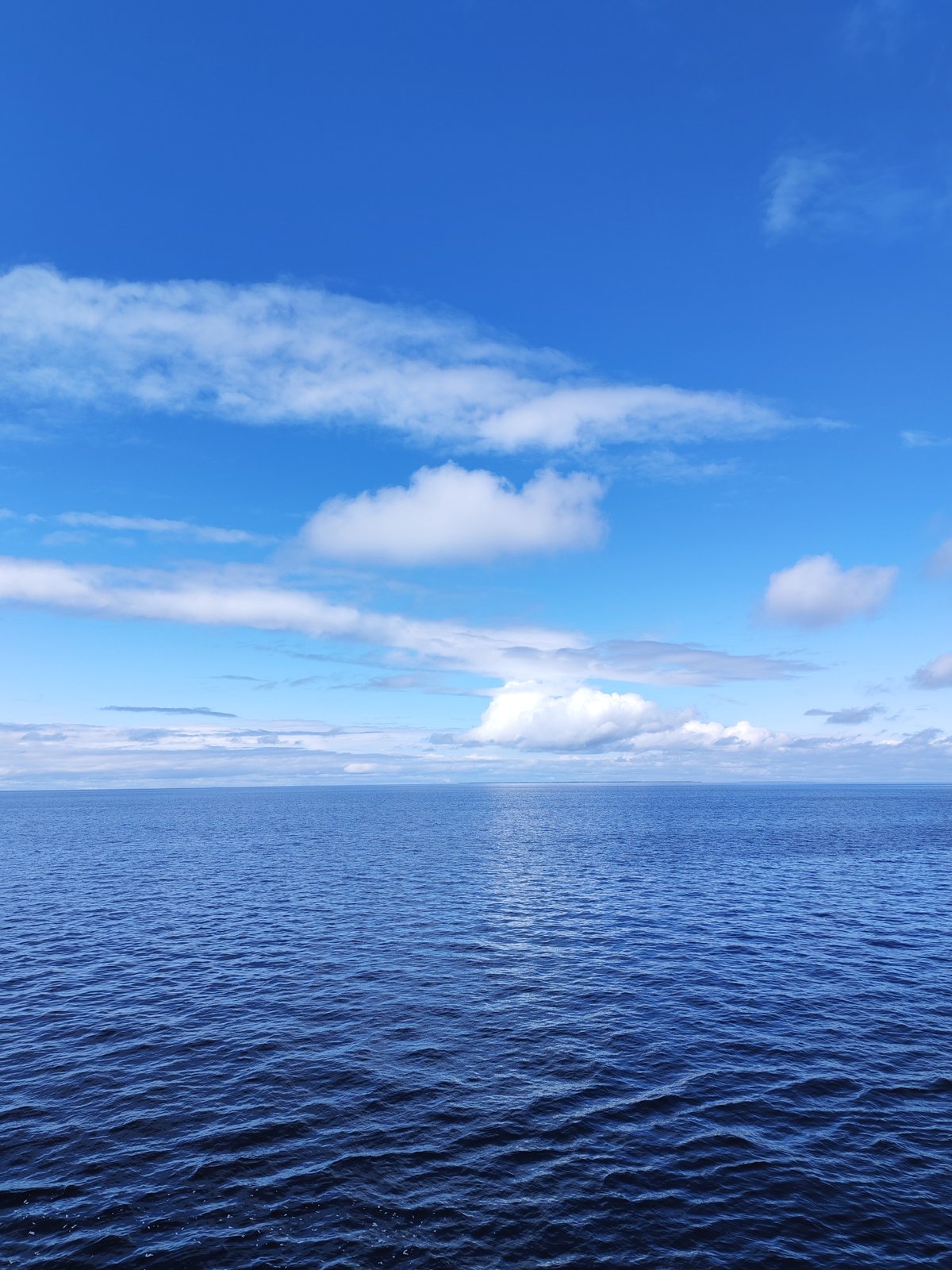 Cargo ship sails Russian waters under clear skies