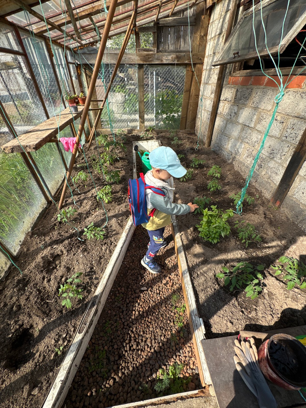 Morning glimpses of life in Rezekne: child, garden, dog