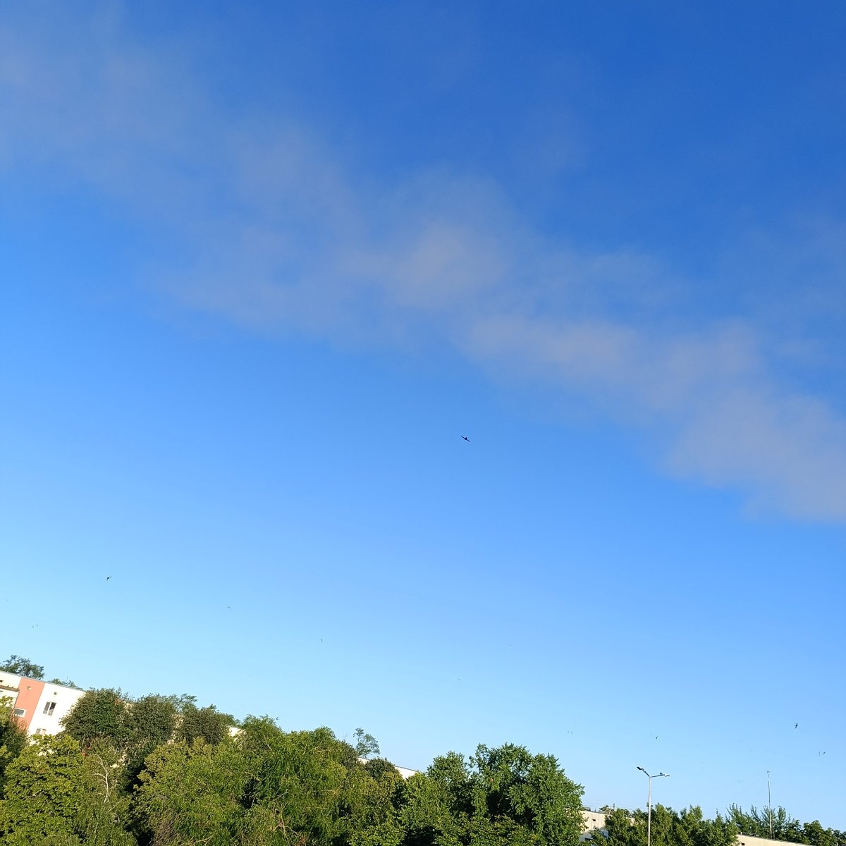 Balcony views over Ladyzhyn's treetops, chimneys visible in distance
