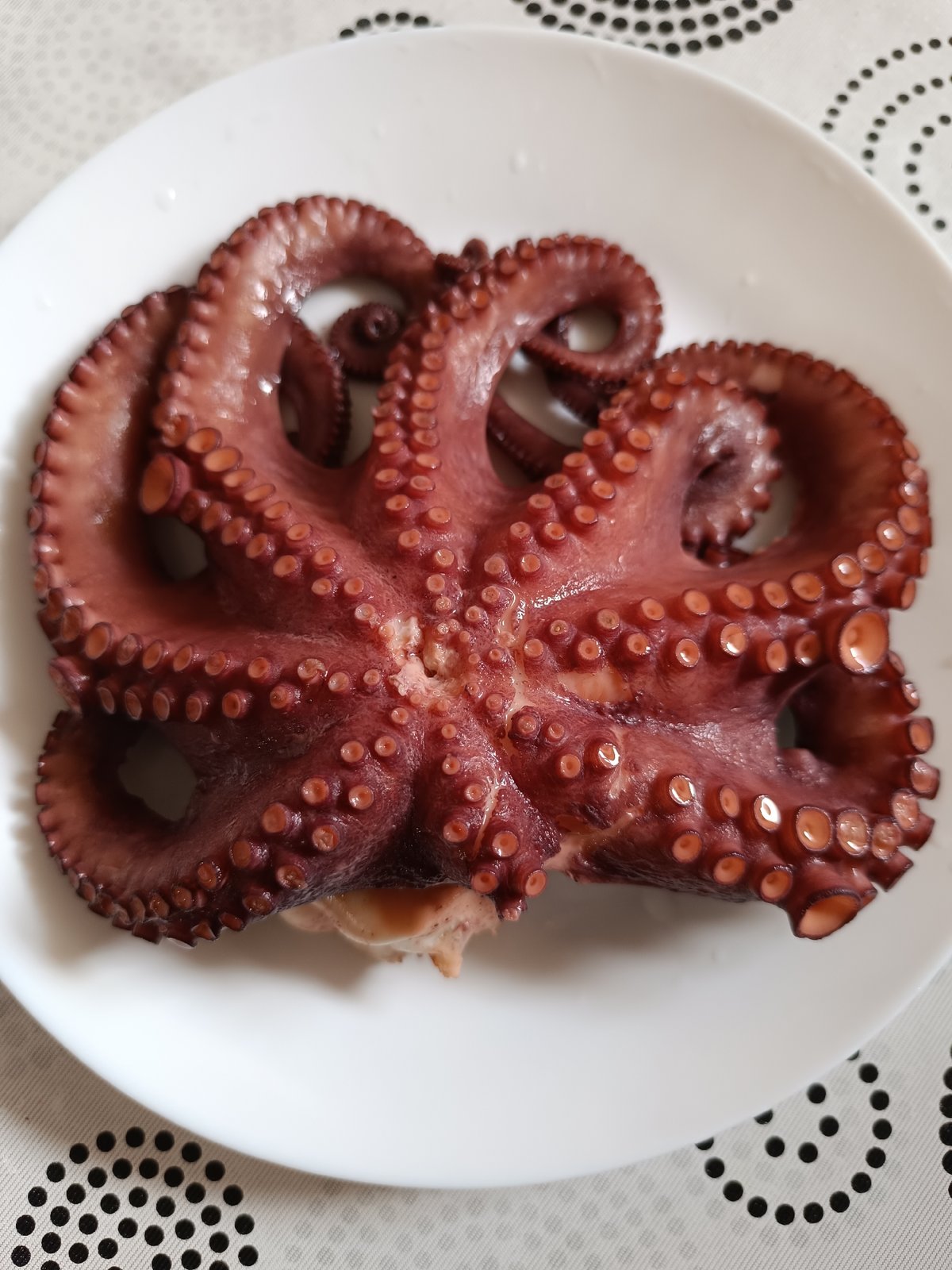 Octopus dish and blooming flower documented at same location