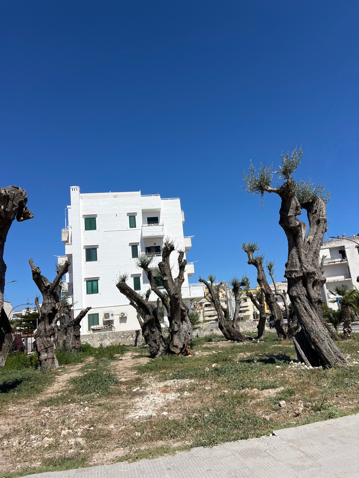 Sunny afternoon scenes along the Vieste coastline