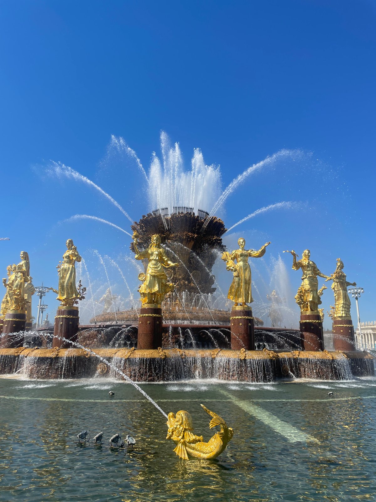 Friendship of Nations Fountain documented in Moscow