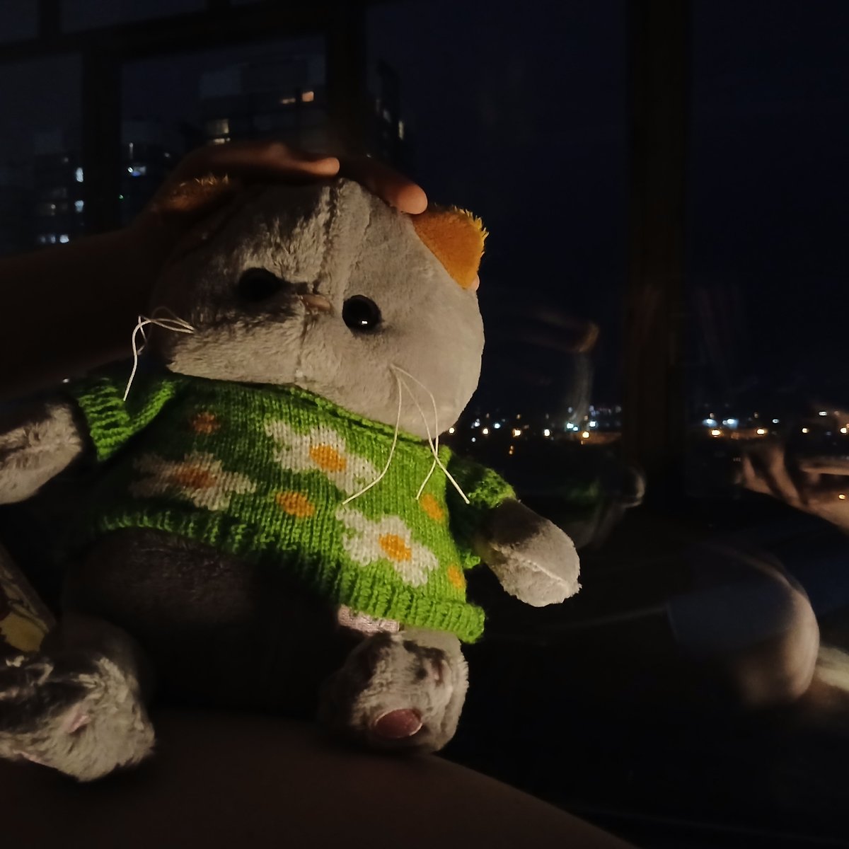 Evening indoor moments captured in Yekaterinburg with plush toy, person