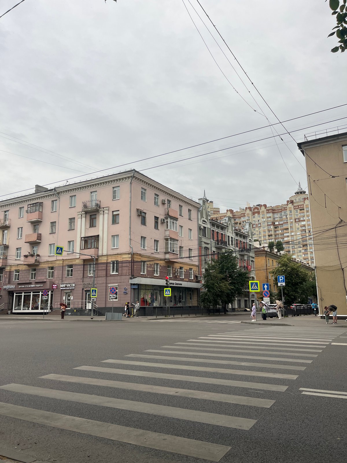 Overcast day at a Voronezh pedestrian crossing