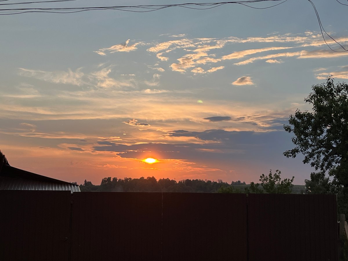Sunset photo session with peonies in Foky, Russia