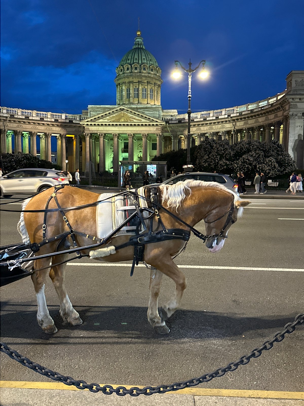 Saint Petersburg evening street scenes captured around Kazan Cathedral