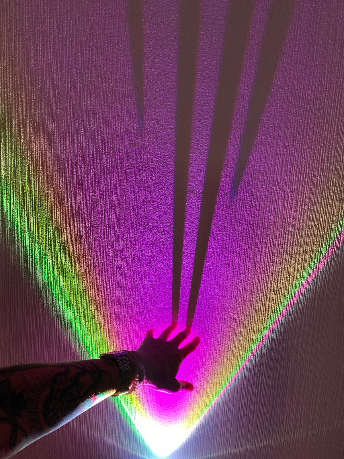 Cats, mood lighting, and tattoos in a Tbilisi apartment