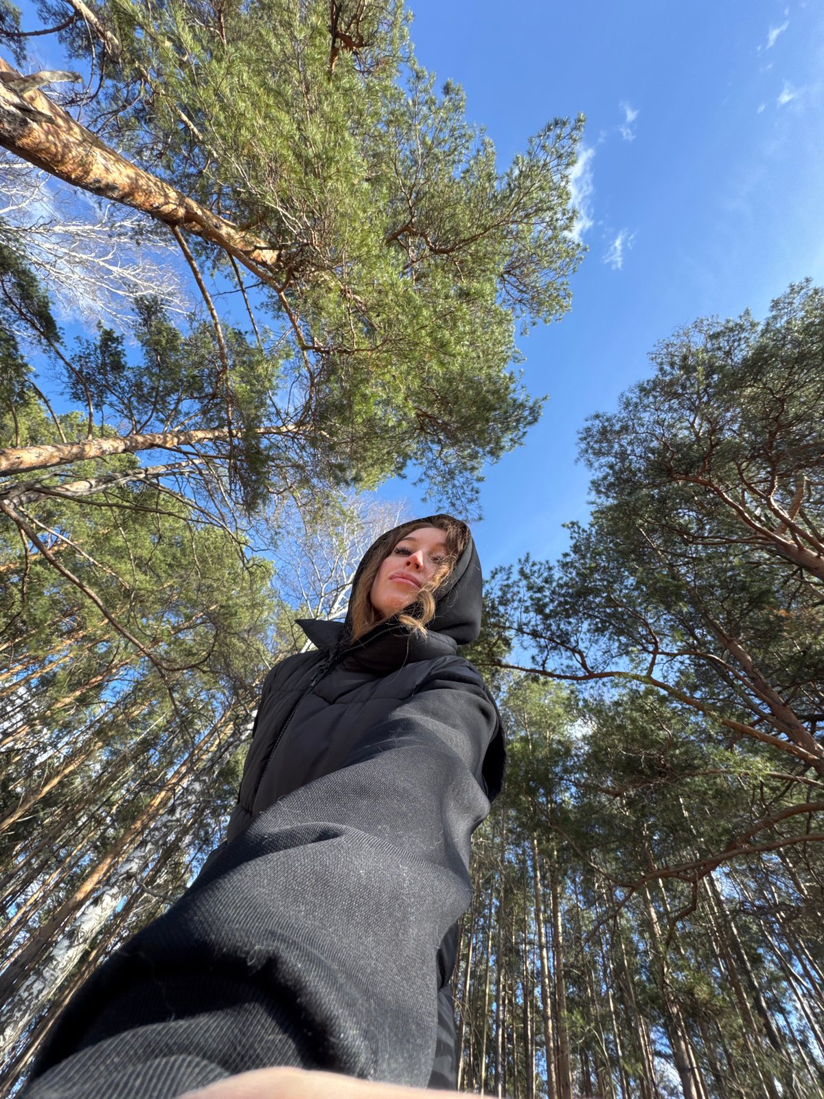 Forest moments captured near Chaikovsky: woman, bumblebee among pines