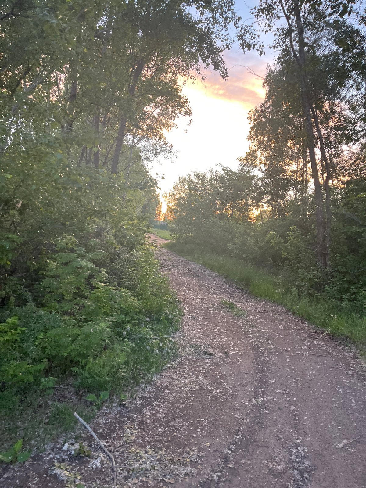 Evening fishing trip documented in rural Chaikovsky, Russia