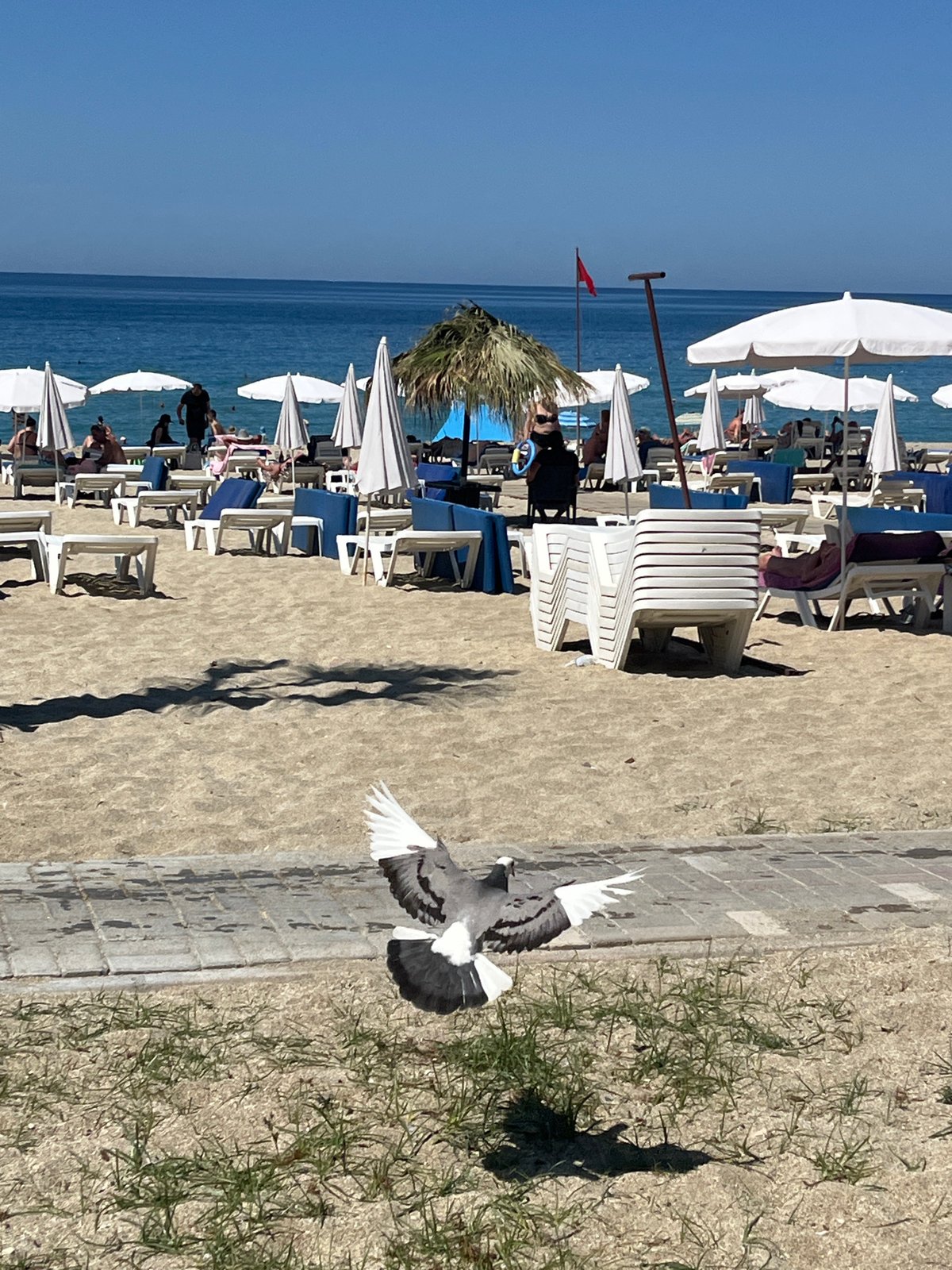 Morning beach life documented in Alanya, Turkey
