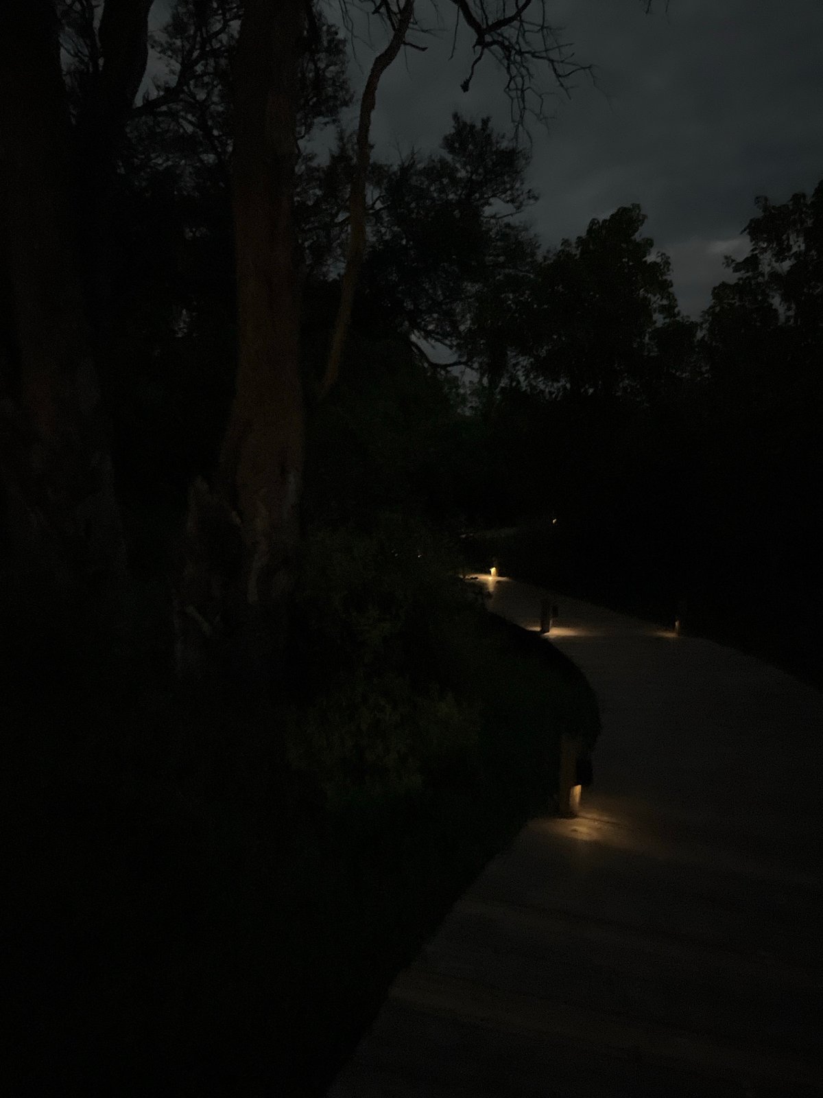Nighttime walkway activity documented in Nwanaeanoka, Botswana