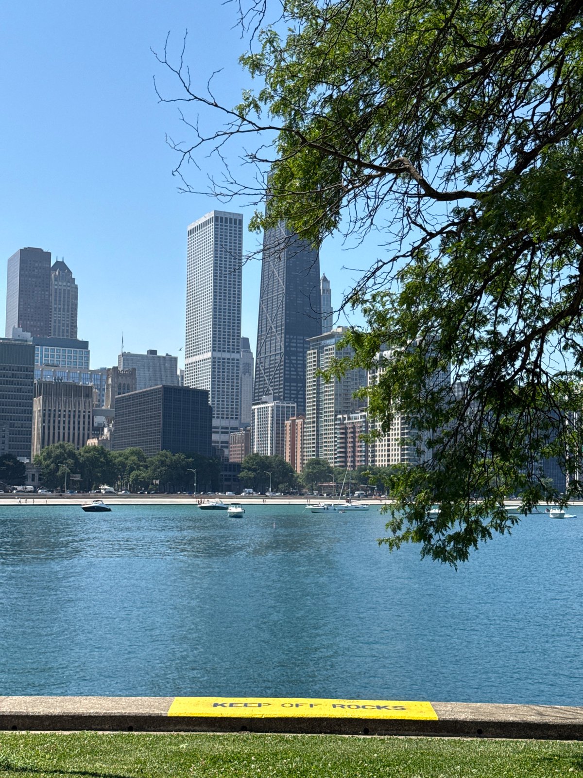 Chicago lakefront on a sunny afternoon: skyline, boats, and a pier wedding
