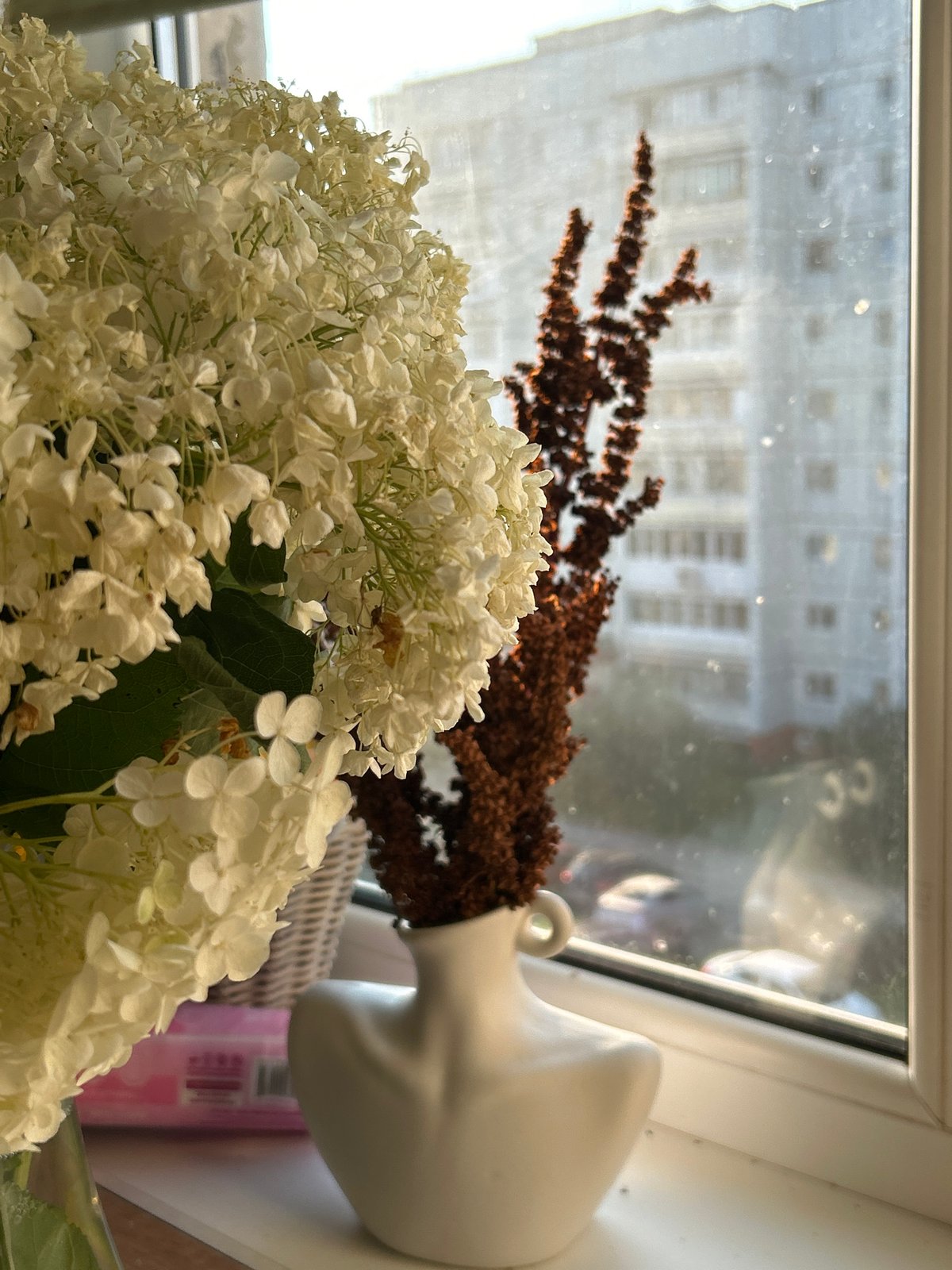 Quiet morning at home in Chaikovsky, with a few snapshots out and about.