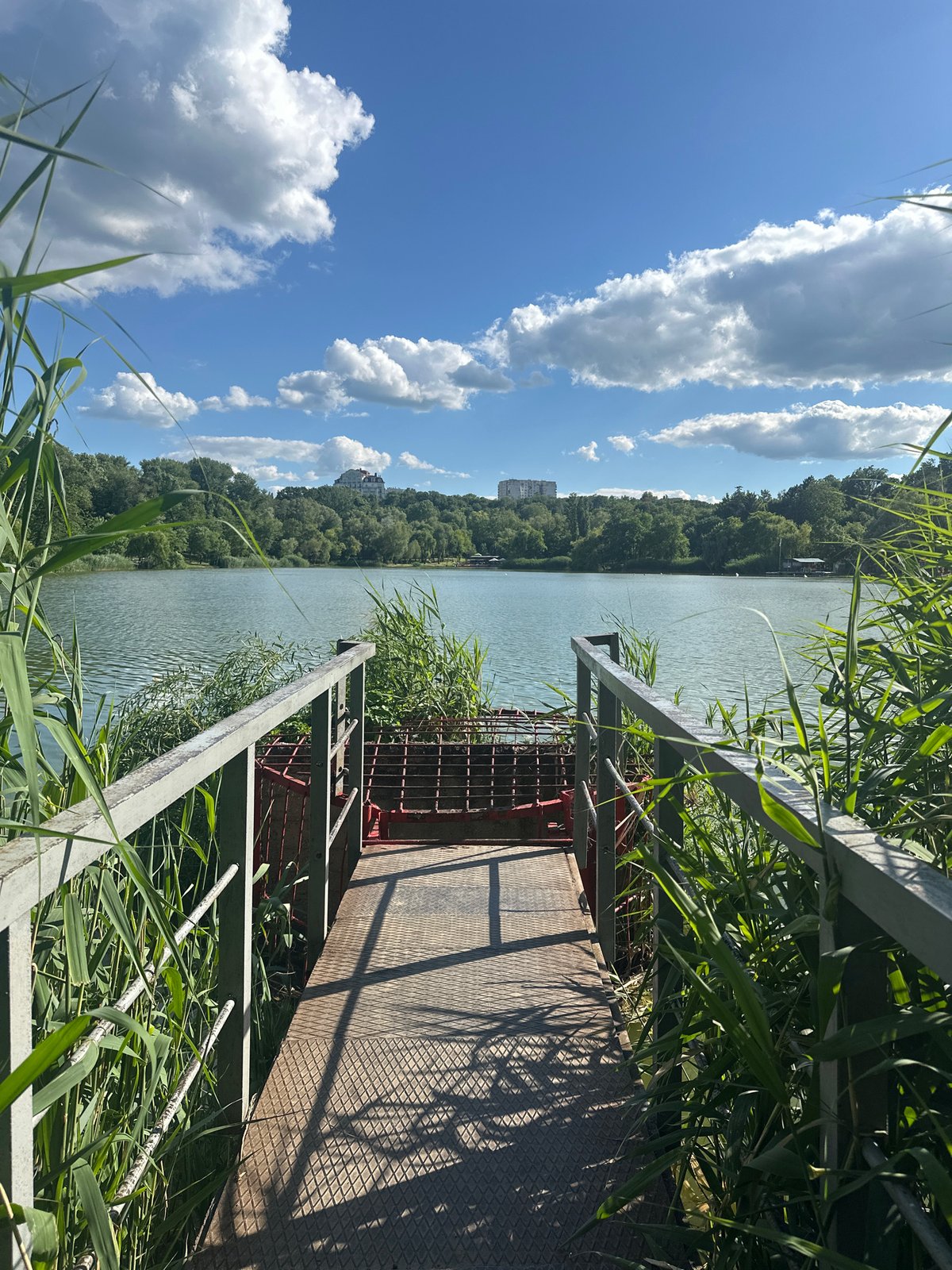 Macro nature exploration along a sunny Chișinău parkside trail
