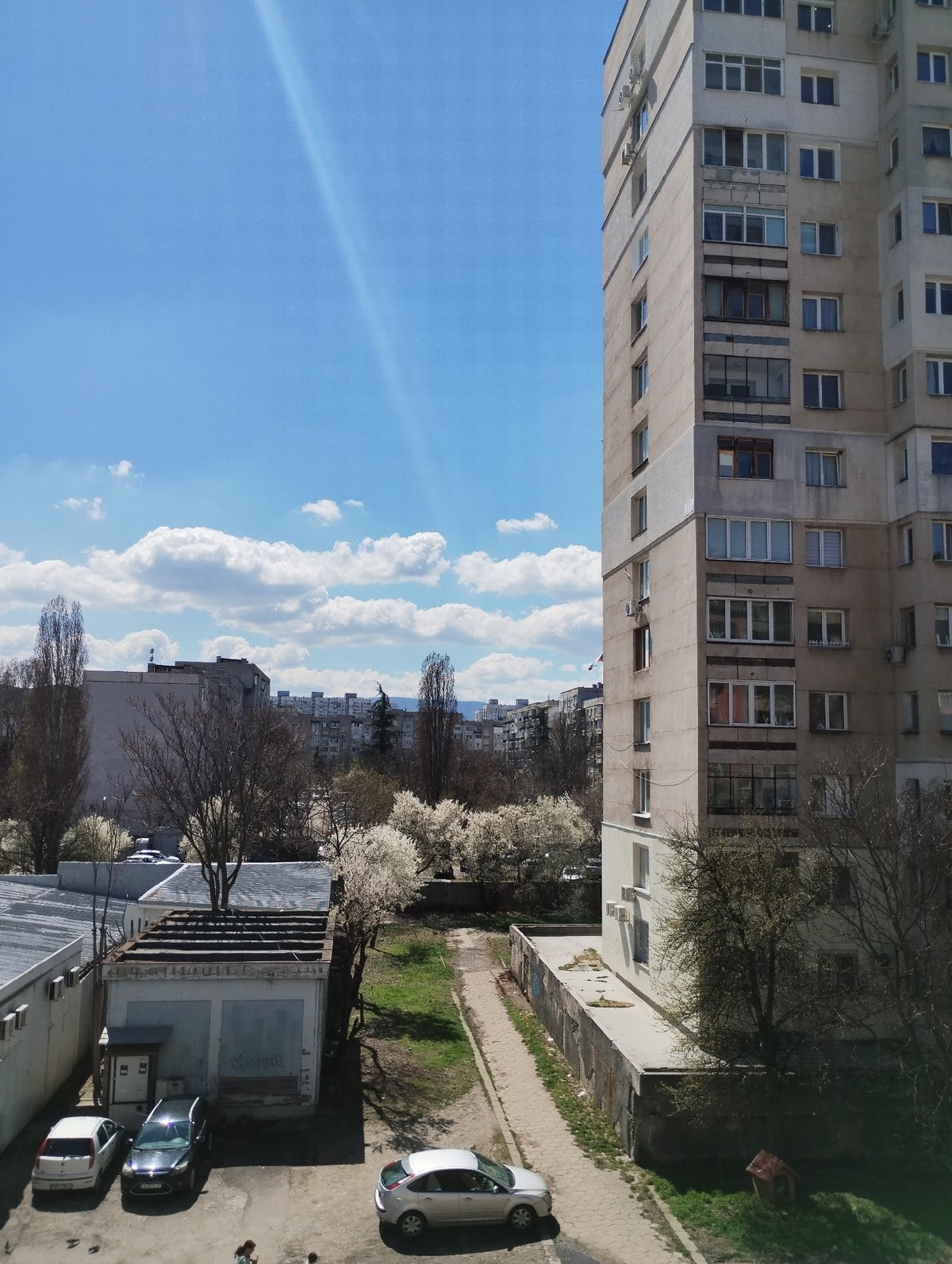 Spring blossoms and urban scenes documented in Sofia
