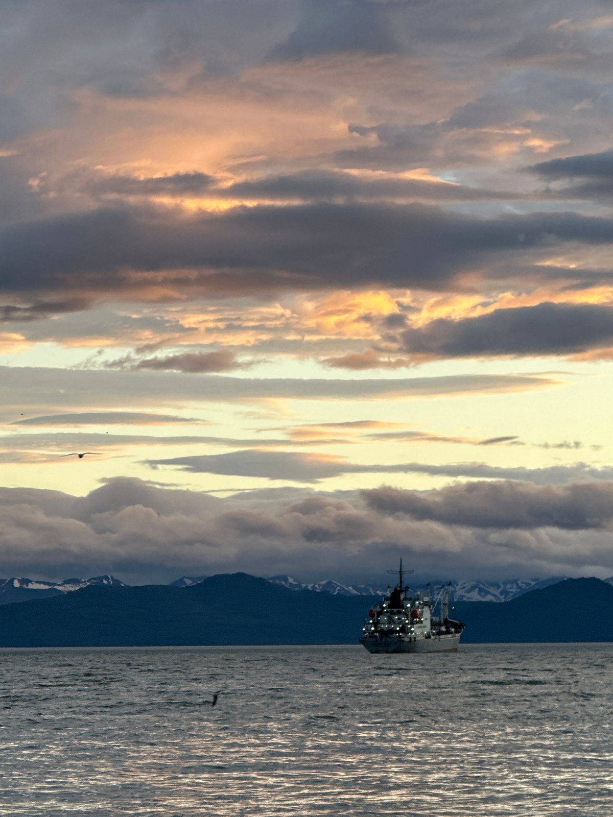 Gulls and stormy skies along the Kamchatka waterfront