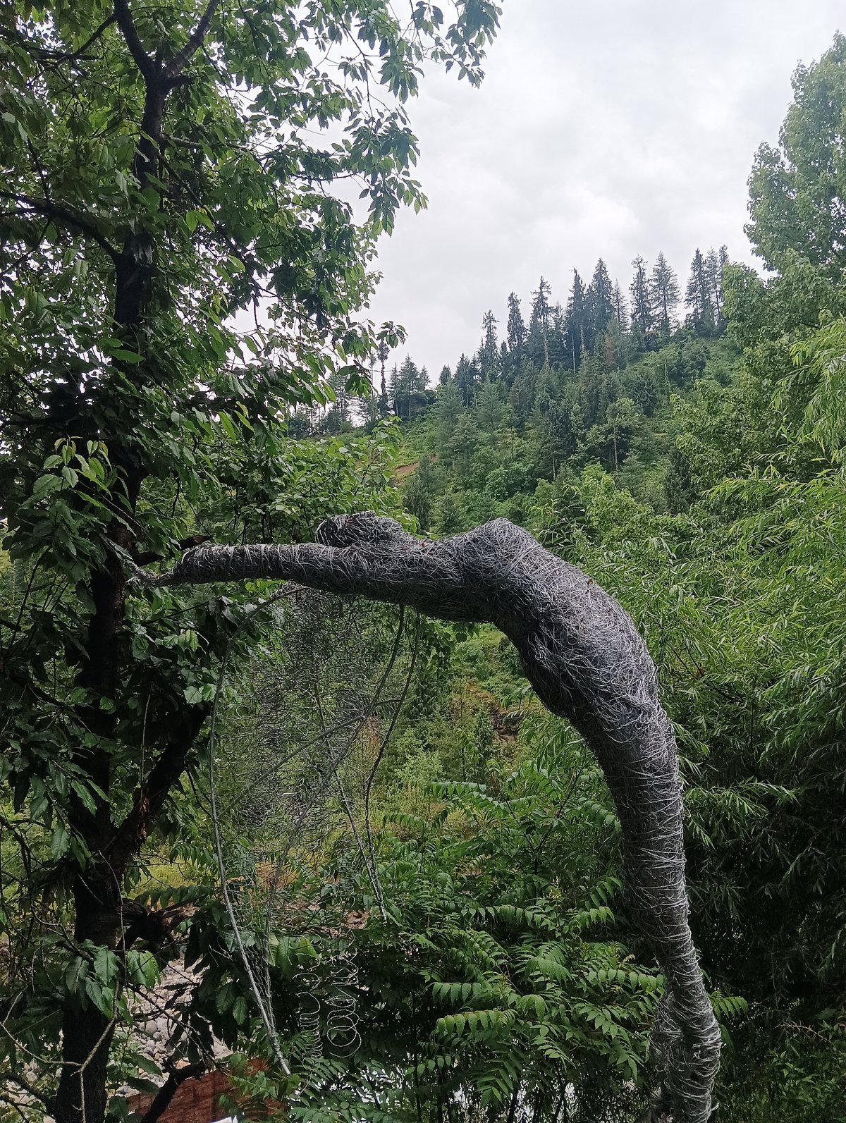 Art installations and river scenes documented in Old Manali