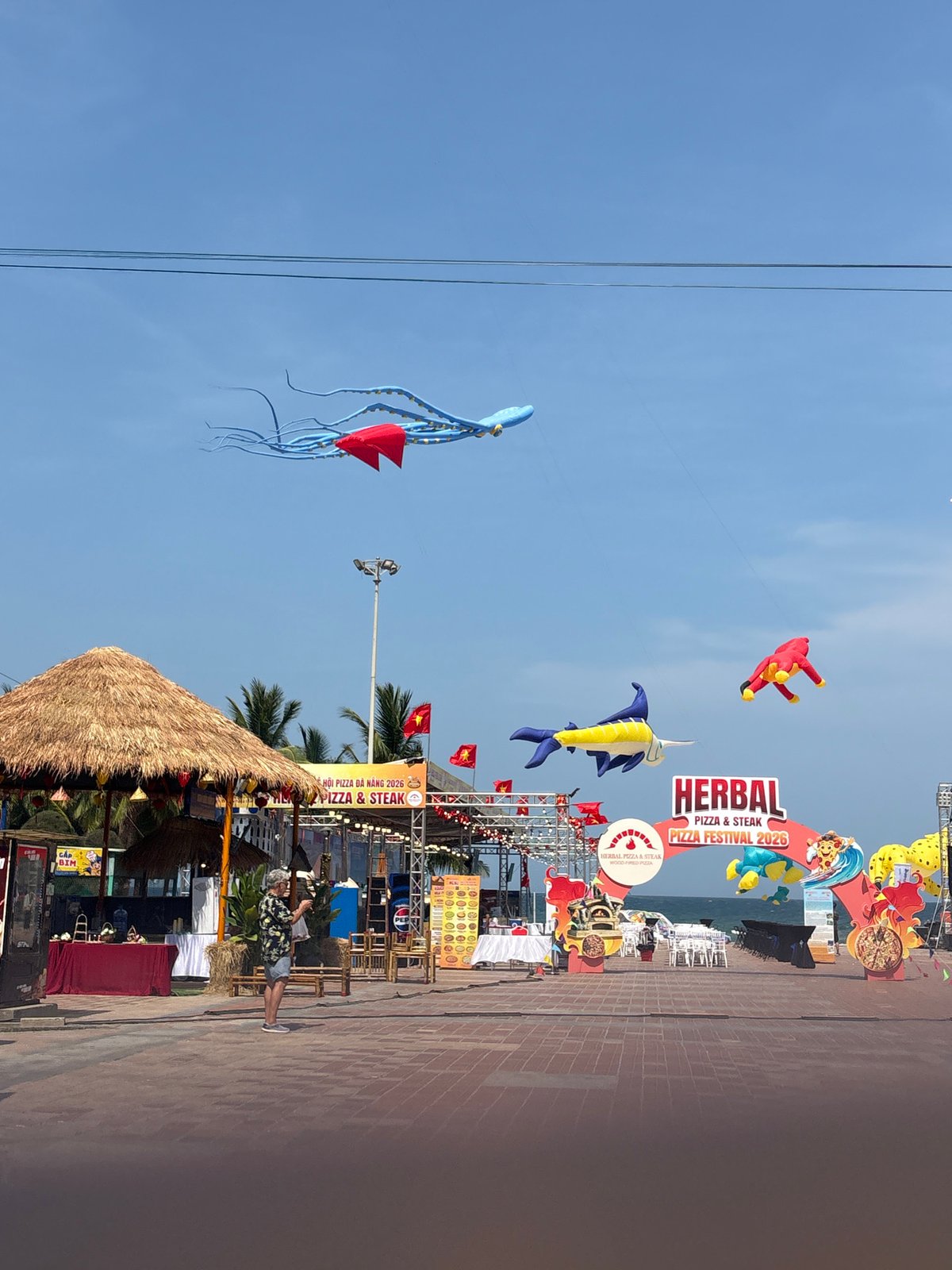 Kite festival draws crowds under clear skies in Đà Nẵng