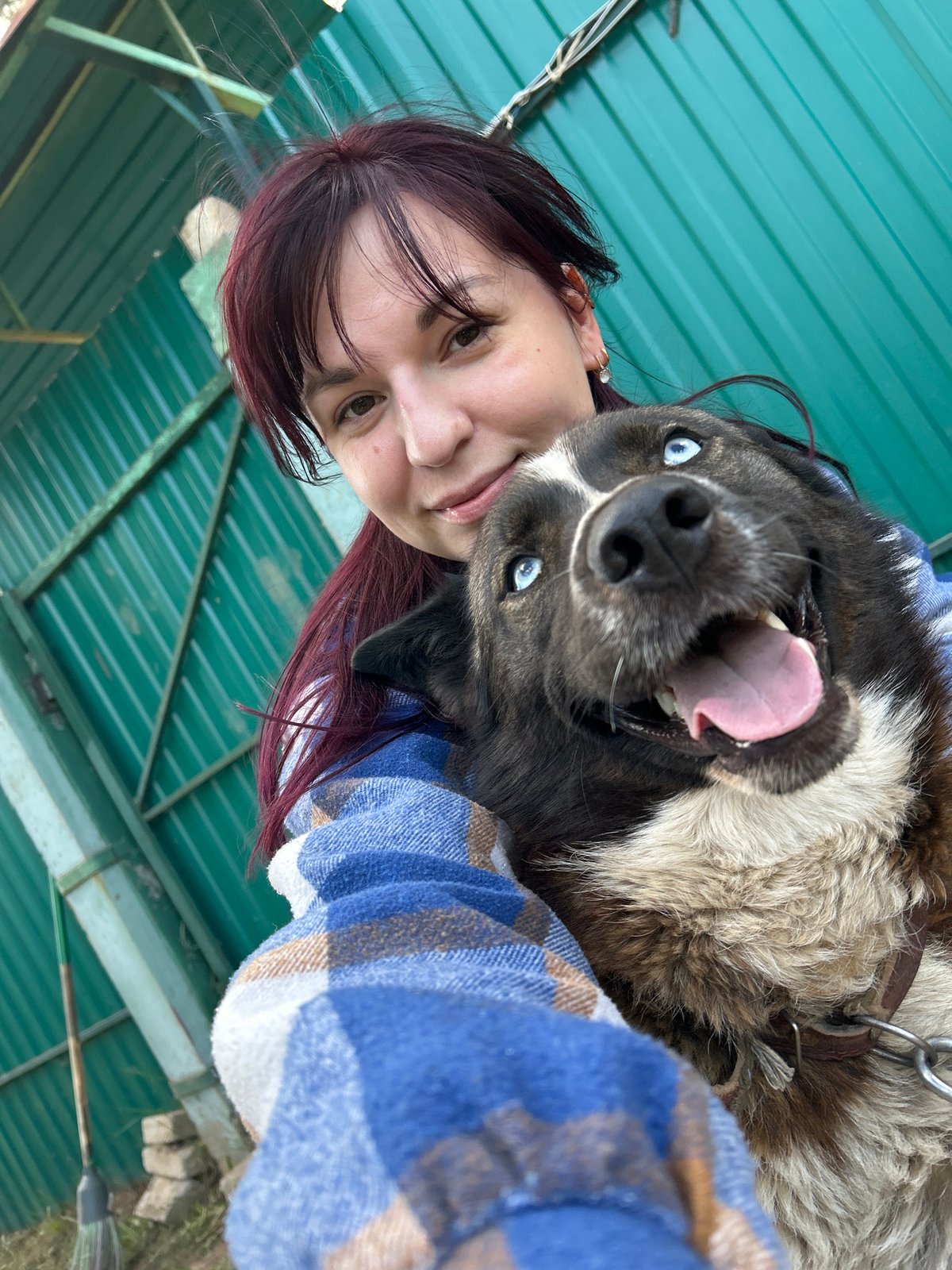 Woman and husky dog captured in selfies around Fokino