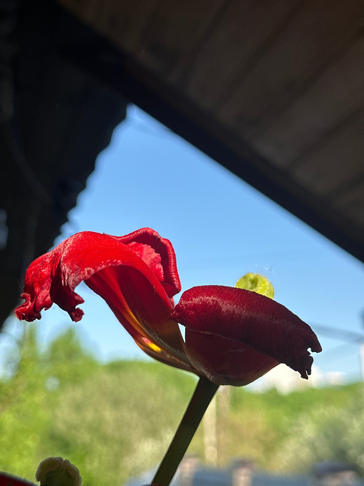 Spring day memories captured across Nizhny Novgorod neighborhoods