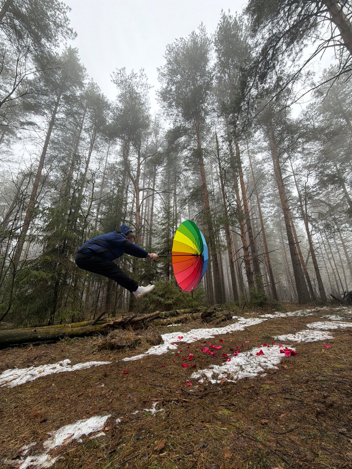 Person with umbrella observed in foggy Russian forest