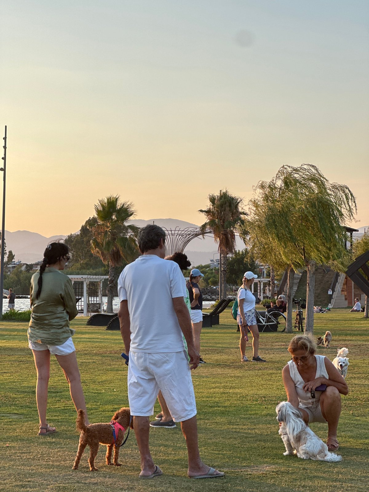 Park life and bay sunset in Fethiye at golden hour