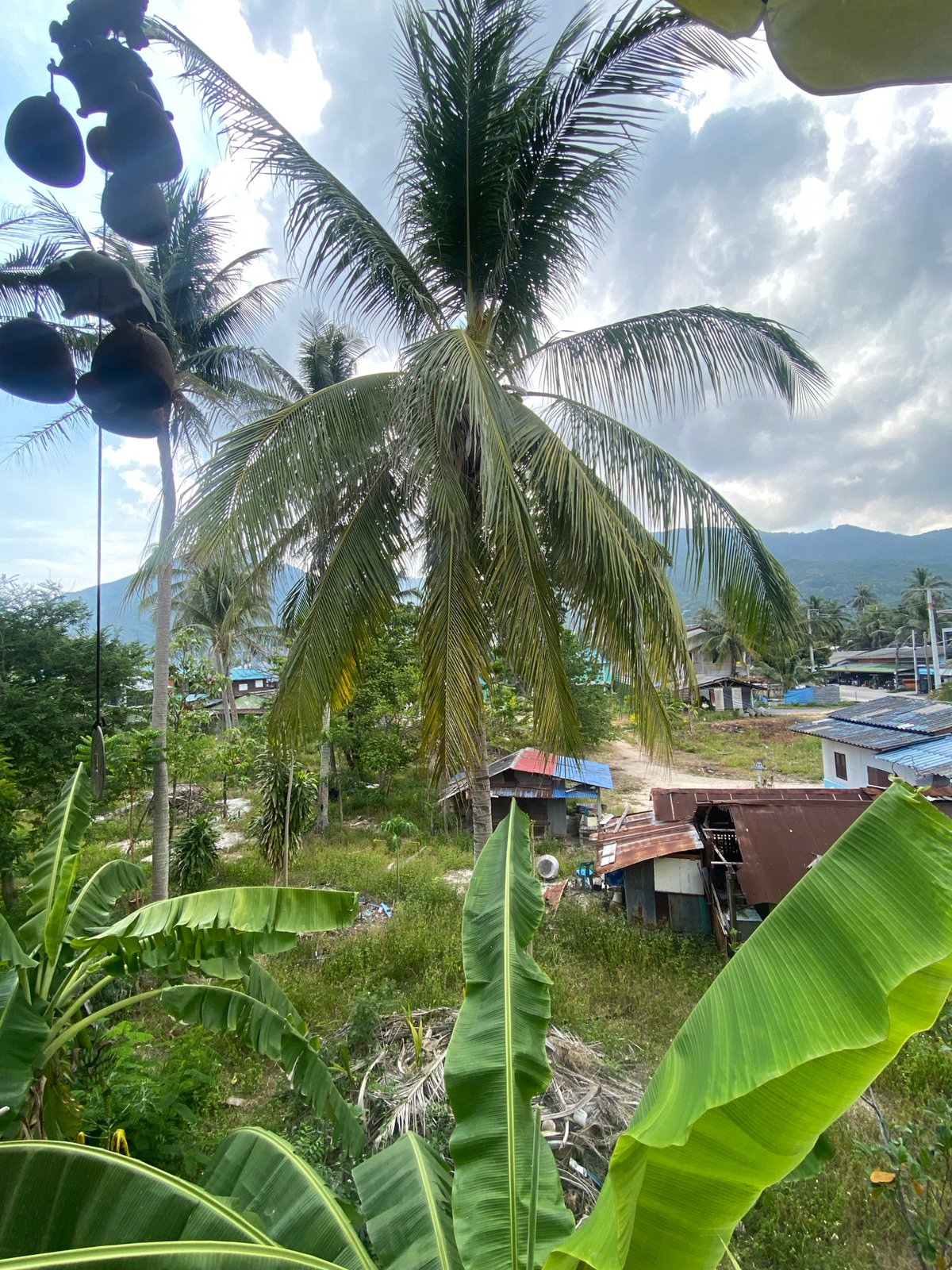 Quiet morning moments captured in Thai coastal village