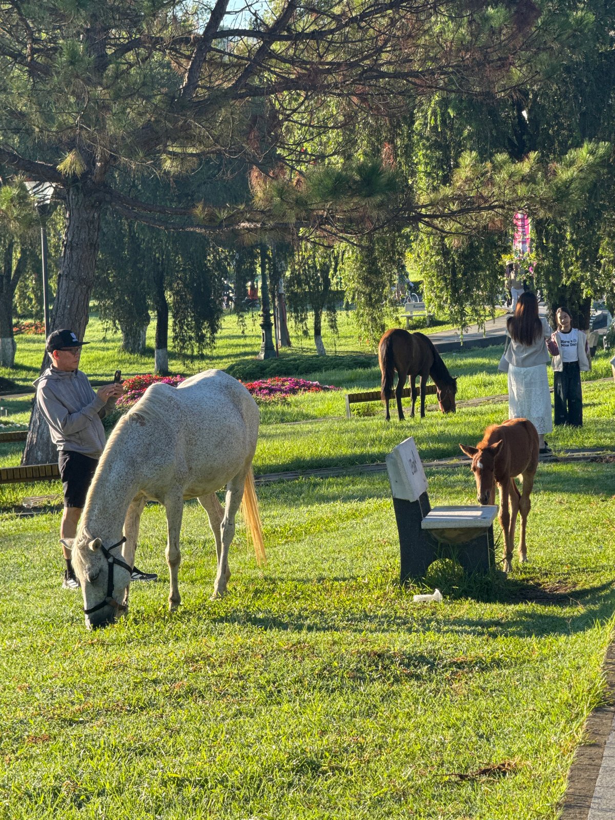 Evening recreation activities documented around Xuan Huong Lake, Da Lat
