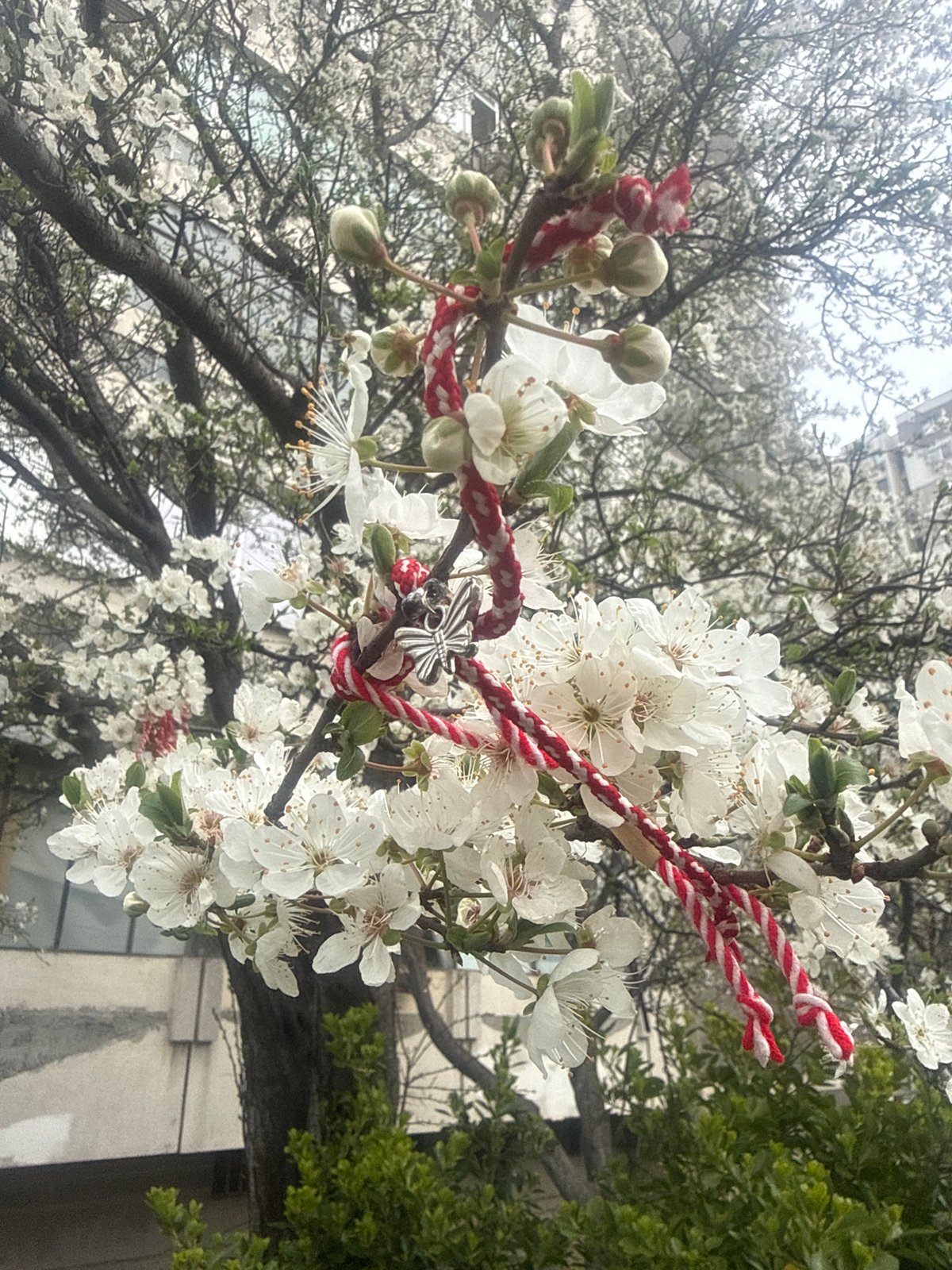 Spring selfies and traditional decorations captured in Varna, Bulgaria