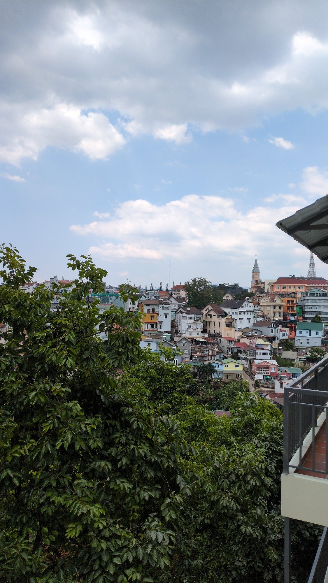 Morning observations capture Da Lat's urban vegetation and cityscape