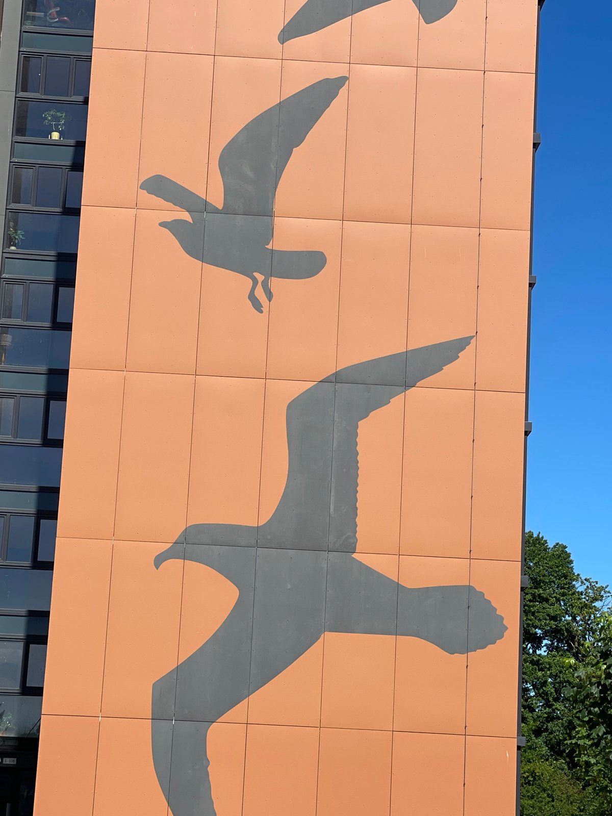 Bold seagull mural covers a building facade in orange and gray