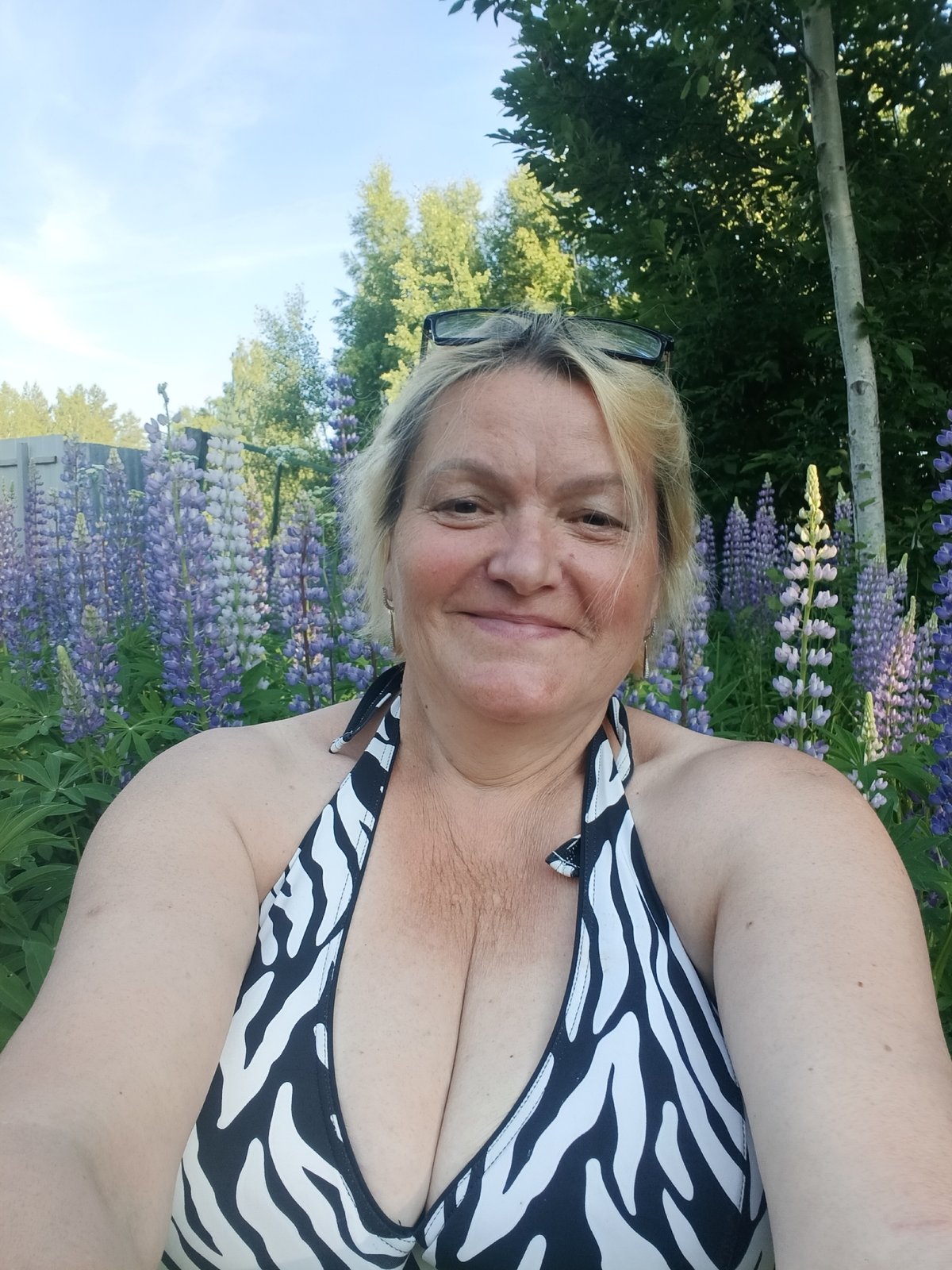 Summer gardens bloom in Russian village during sunny afternoon