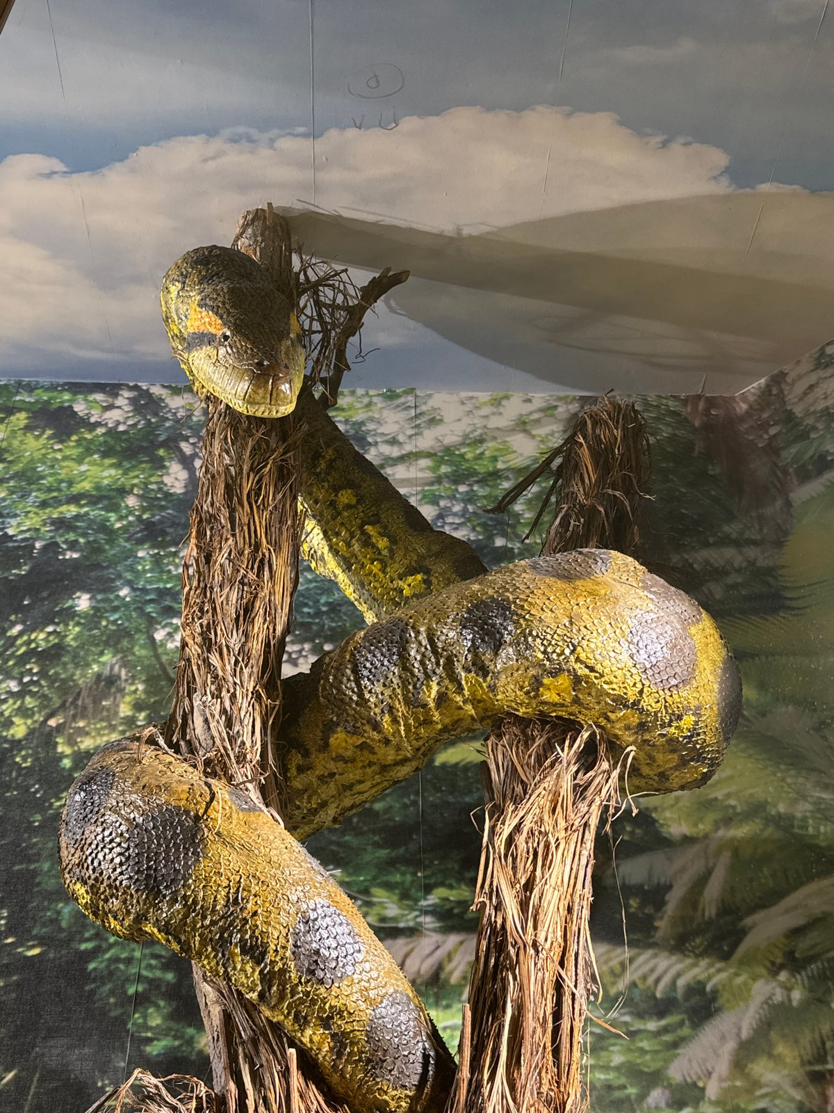 Wildlife exhibits documented at Plovdiv Natural History Museum