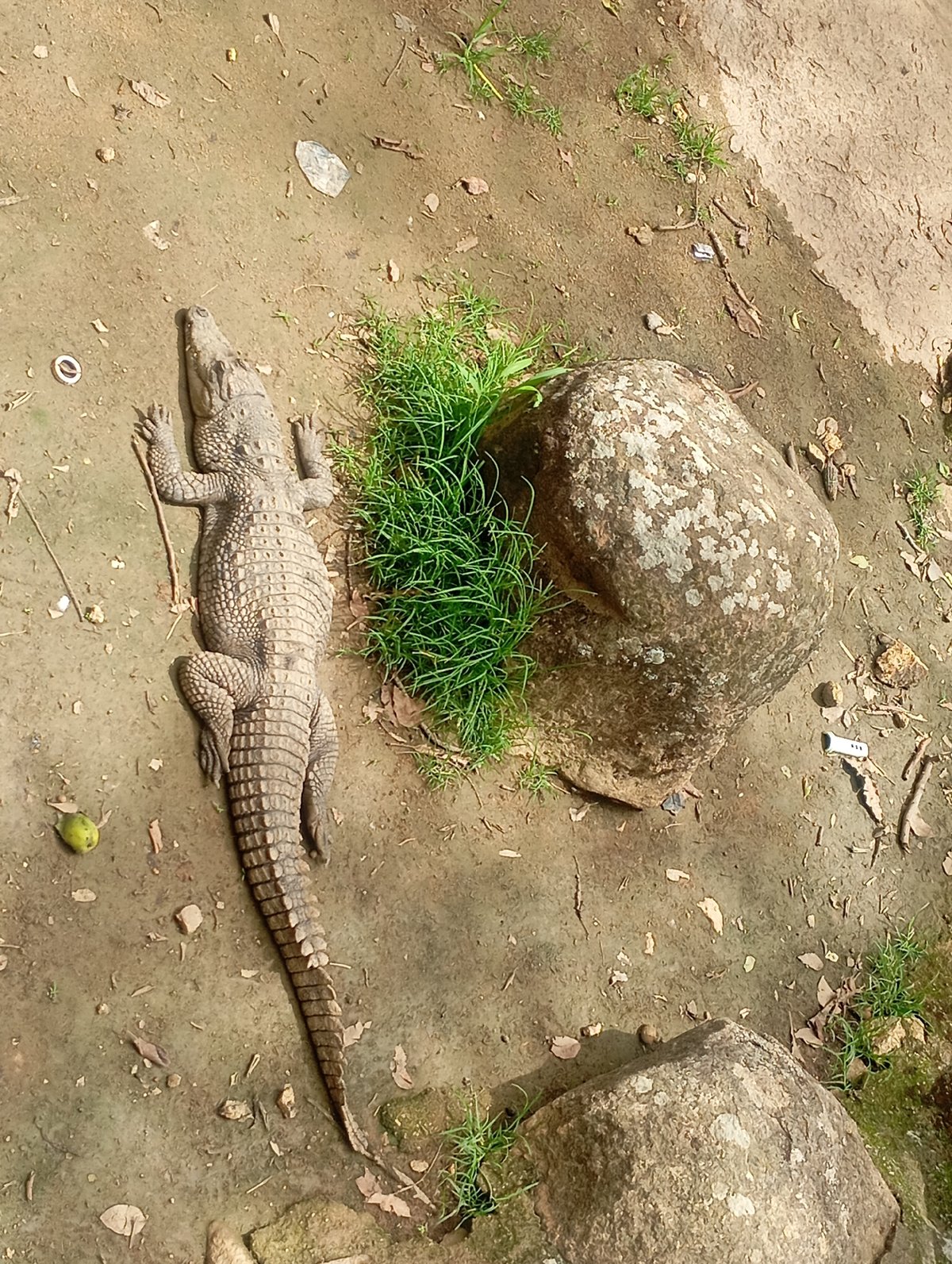 Zoo visit documented by witnesses in Jos, Nigeria