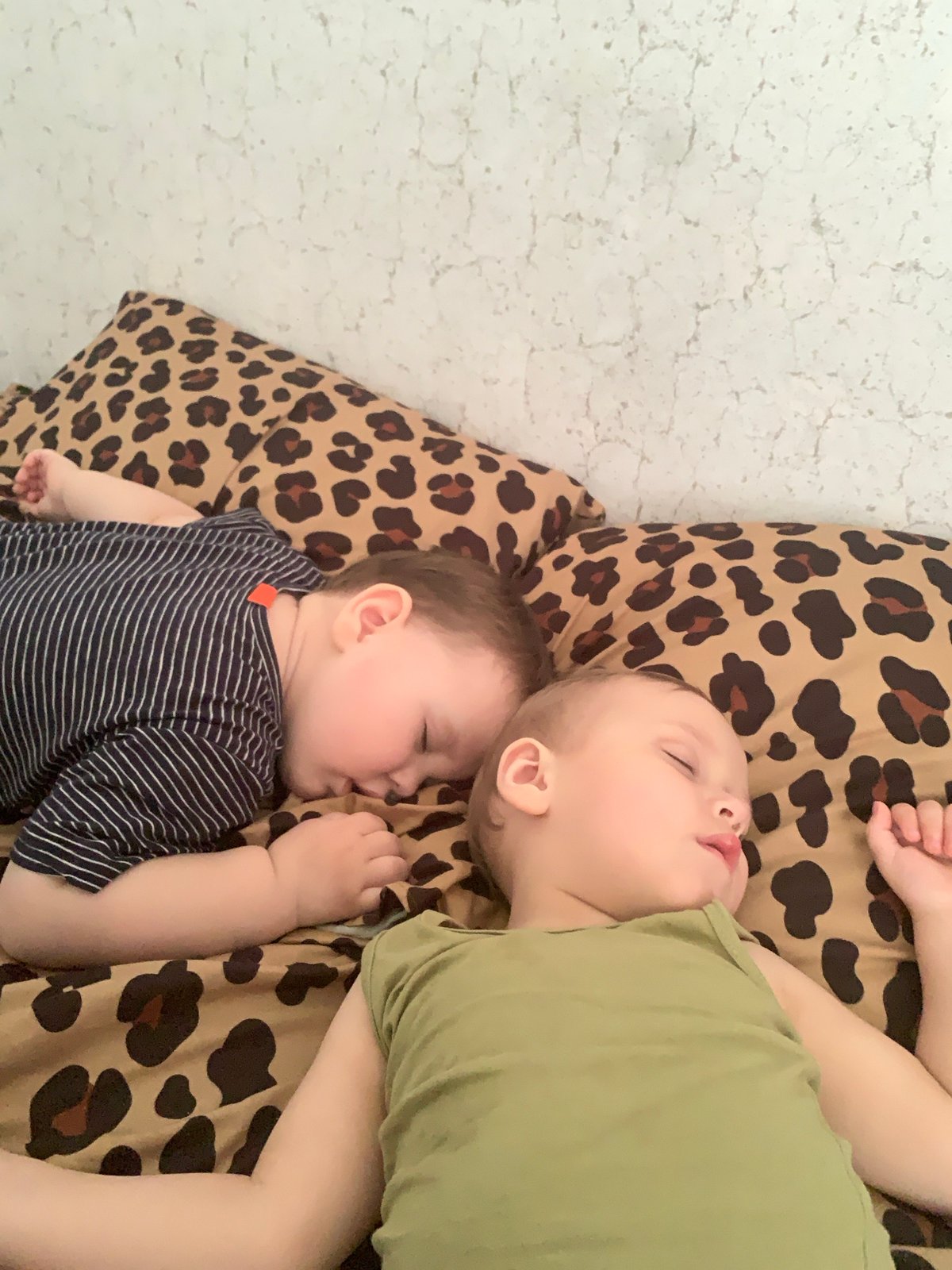 Quiet morning moments captured in Russian household