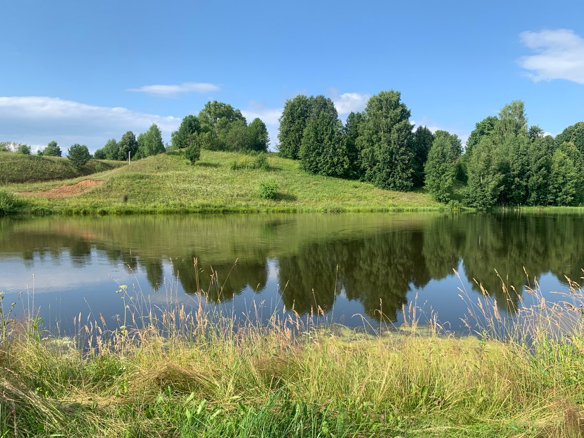 Lazy summer afternoon by the lake with kids and dogs