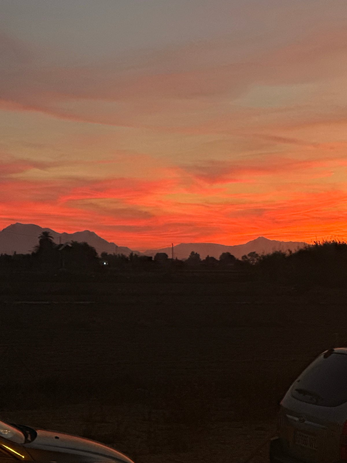 Dramatic sunset documented over rural Los Palacios, Spain