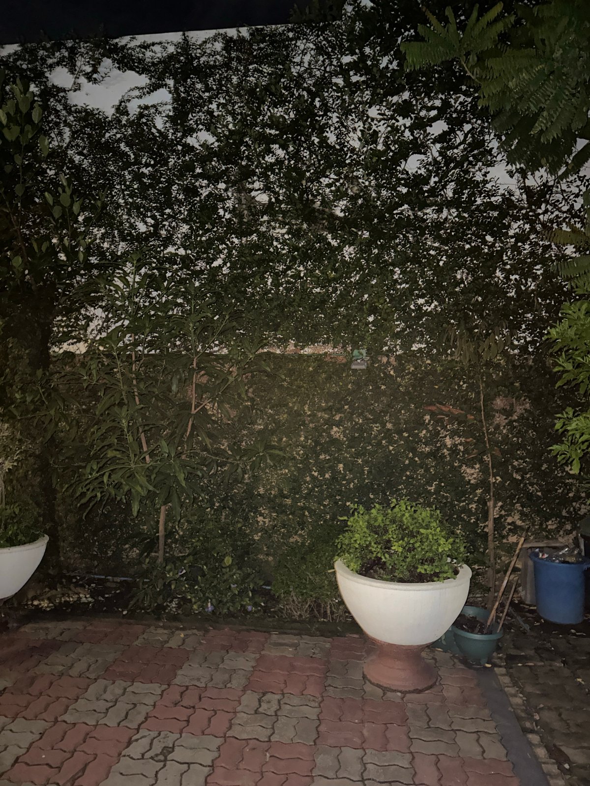 Nighttime residential property documented in 27 memory fragments