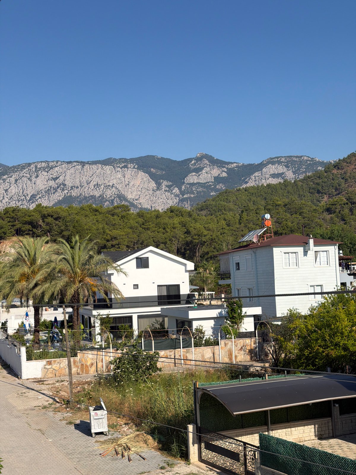 Sunny residential neighborhood with mountains, greenery, and architecture
