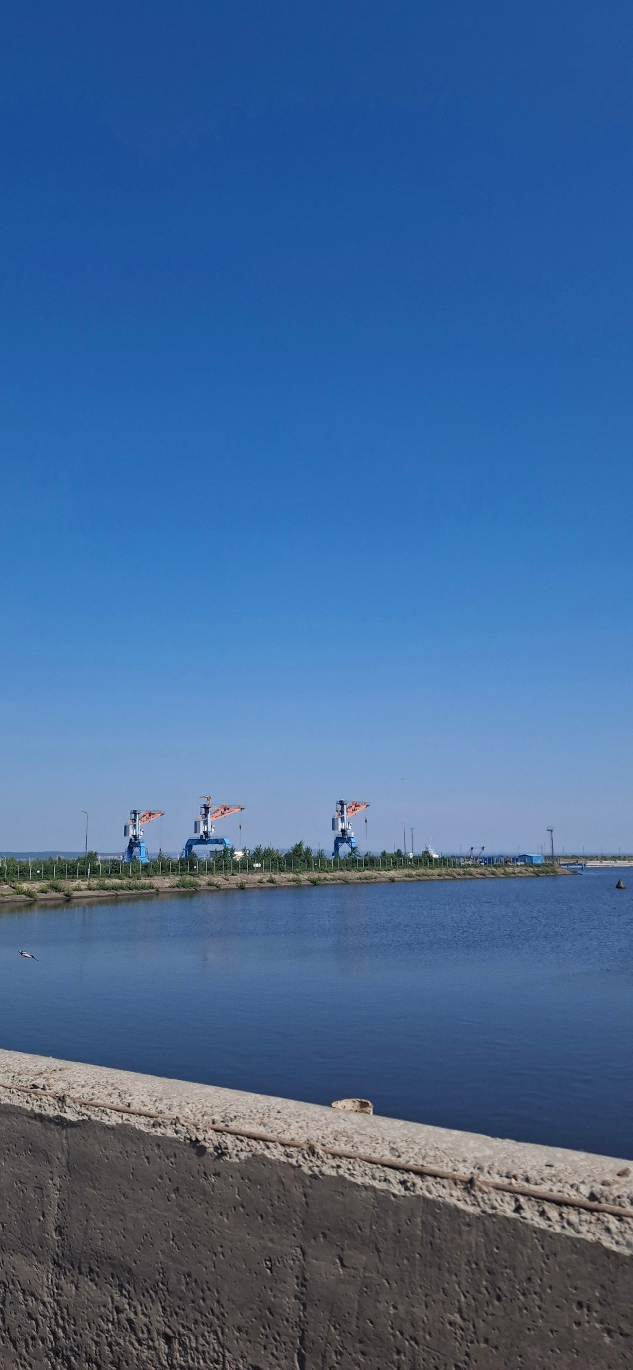 Three cranes spotted at Chaikovsky waterfront under clear skies