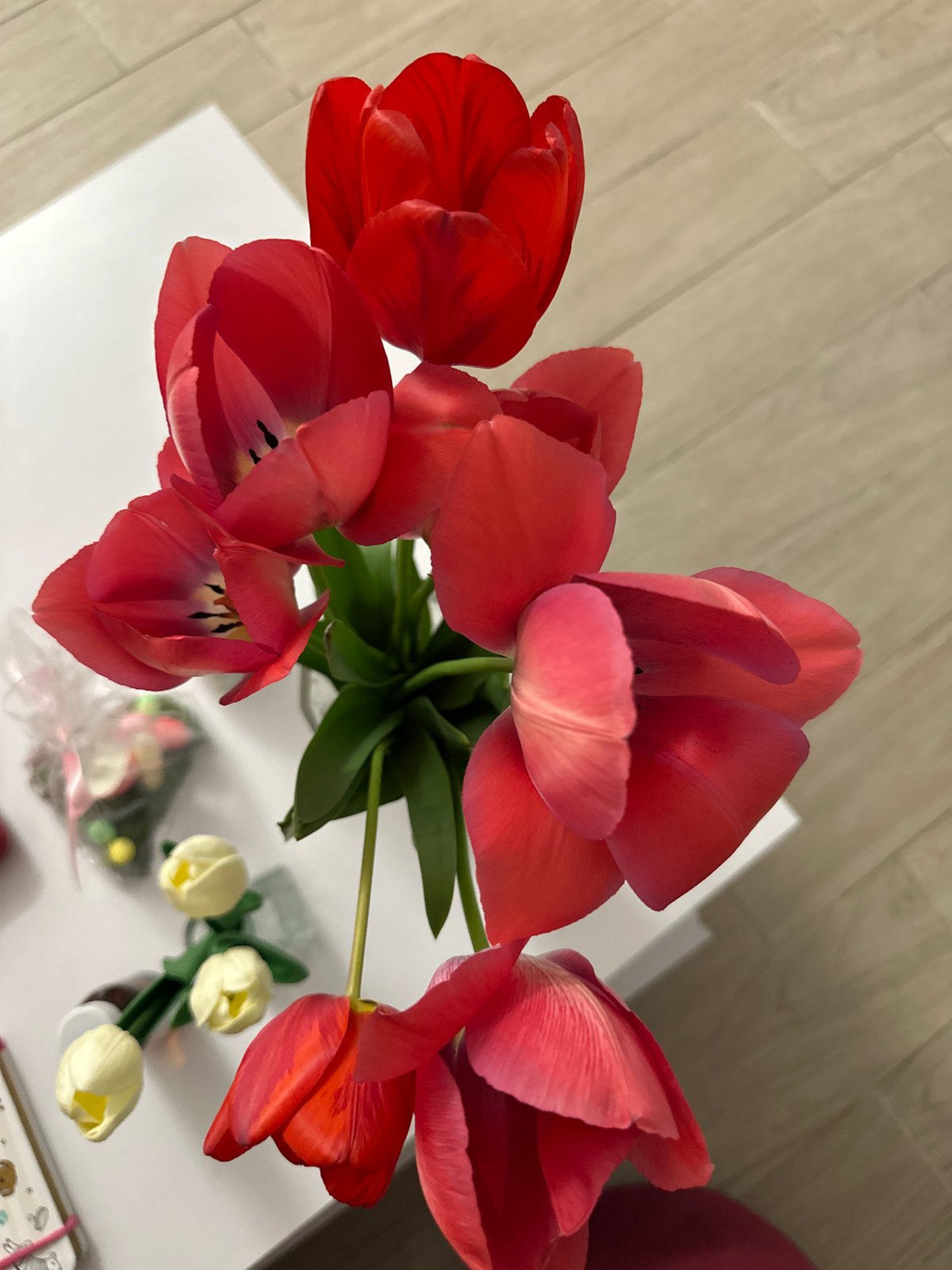Spring tulip arrangement documented in Sofia home setting