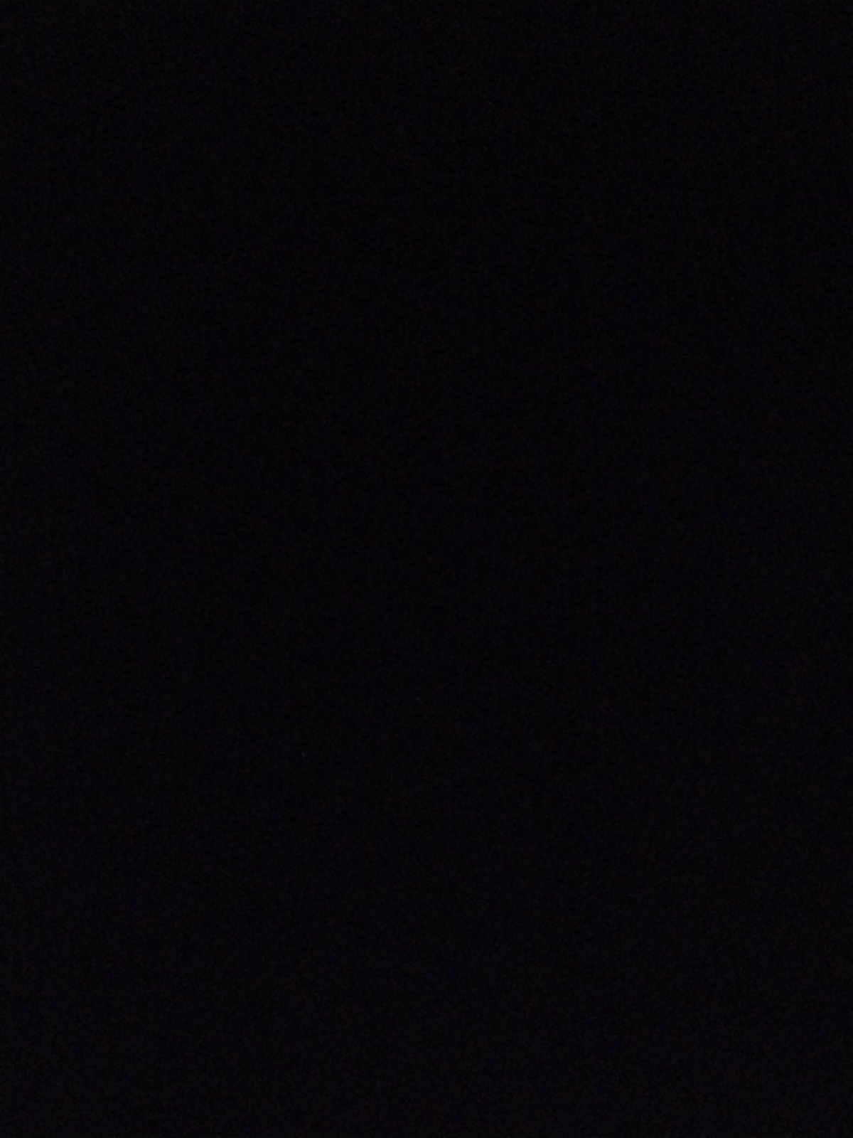 Witness Records Two Minutes of Complete Visual Blackout