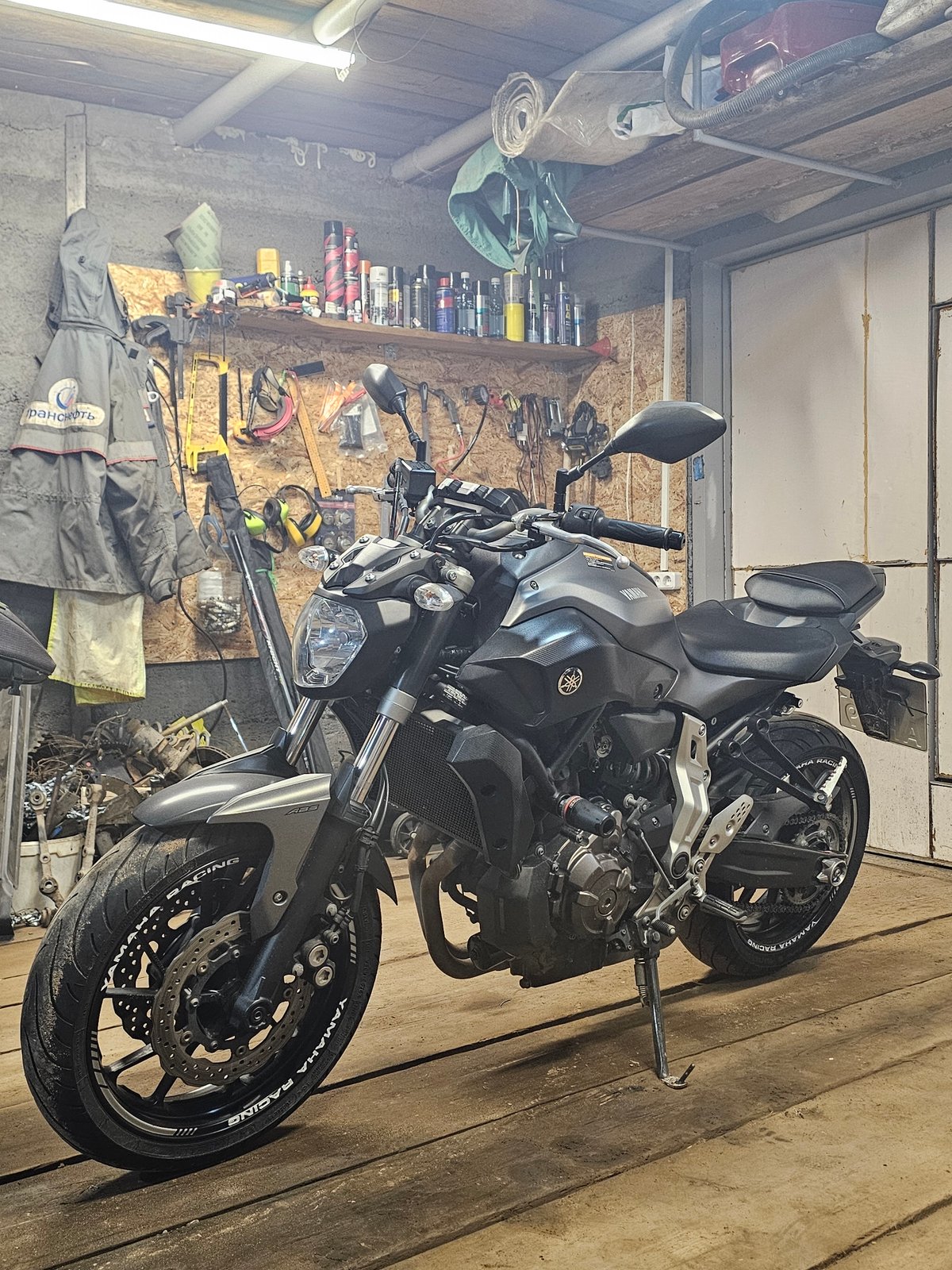 Quiet moments: motorcycle in garage, hand petting sleeping cat