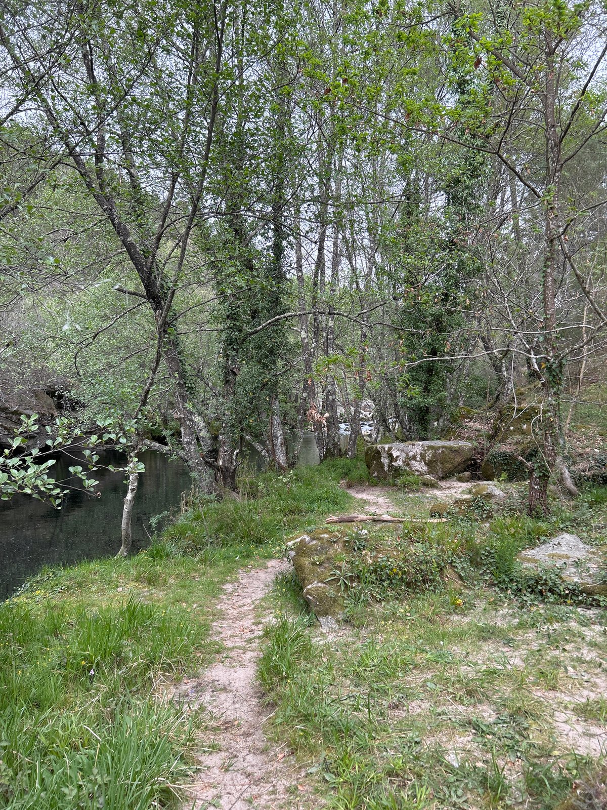Spring waterway documented in Vila Real, Portugal